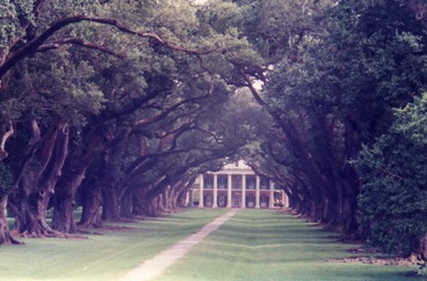 Oak Alley Plantation